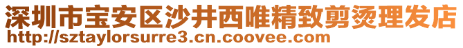 深圳市寶安區(qū)沙井西唯精致剪燙理發(fā)店