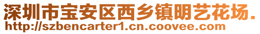 深圳市寶安區(qū)西鄉(xiāng)鎮(zhèn)明藝花場.