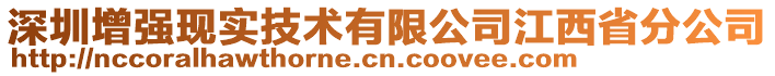 深圳增強現(xiàn)實技術(shù)有限公司江西省分公司