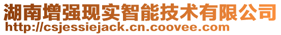 湖南增強(qiáng)現(xiàn)實(shí)智能技術(shù)有限公司