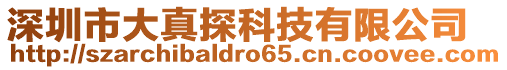 深圳市大真探科技有限公司