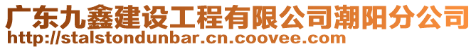 廣東九鑫建設(shè)工程有限公司潮陽(yáng)分公司