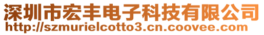 深圳市宏豐電子科技有限公司