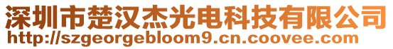 深圳市楚漢杰光電科技有限公司