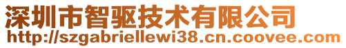 深圳市智驅技術有限公司