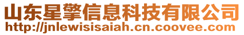 山東星擎信息科技有限公司