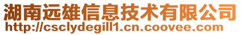 湖南遠雄信息技術有限公司