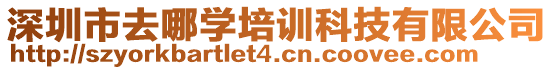 深圳市去哪學(xué)培訓(xùn)科技有限公司