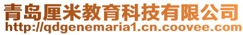 青島厘米教育科技有限公司