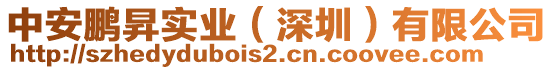 中安鵬昇實(shí)業(yè)（深圳）有限公司