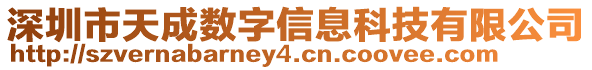 深圳市天成數(shù)字信息科技有限公司