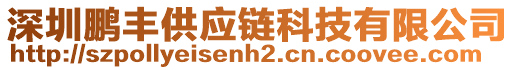 深圳鵬豐供應(yīng)鏈科技有限公司