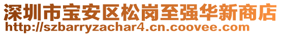 深圳市寶安區(qū)松崗至強(qiáng)華新商店