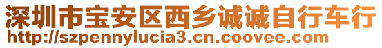 深圳市宝安区西乡诚诚自行车行