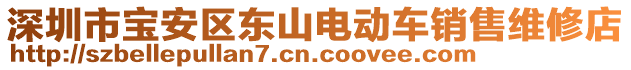 深圳市寶安區(qū)東山電動(dòng)車銷售維修店