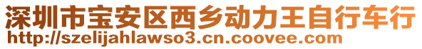 深圳市宝安区西乡动力王自行车行