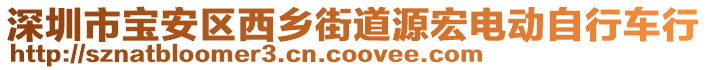 深圳市寶安區(qū)西鄉(xiāng)街道源宏電動(dòng)自行車行