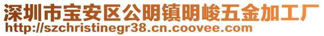 深圳市寶安區(qū)公明鎮(zhèn)明峻五金加工廠