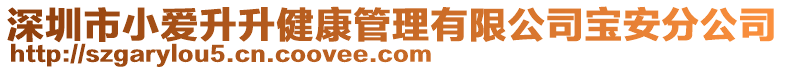 深圳市小愛升升健康管理有限公司寶安分公司