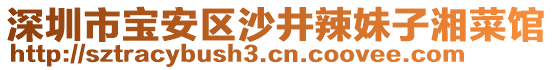 深圳市寶安區(qū)沙井辣妹子湘菜館