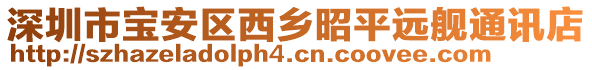 深圳市寶安區(qū)西鄉(xiāng)昭平遠(yuǎn)艦通訊店