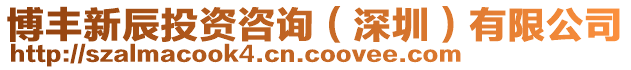 博豐新辰投資咨詢(深圳)有限公司
