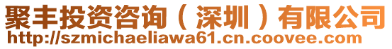 聚豐投資咨詢（深圳）有限公司