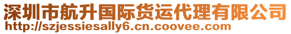 深圳市航升國(guó)際貨運(yùn)代理有限公司