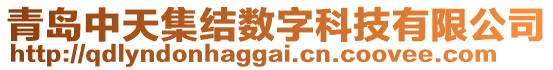 青島中天集結(jié)數(shù)字科技有限公司