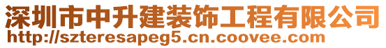 深圳市中升建裝飾工程有限公司