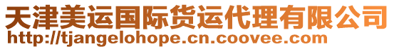 天津美運(yùn)國際貨運(yùn)代理有限公司