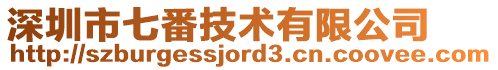 深圳市七番技術(shù)有限公司