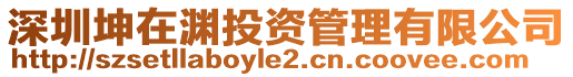 深圳坤在淵投資管理有限公司