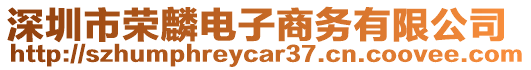 深圳市榮麟電子商務(wù)有限公司