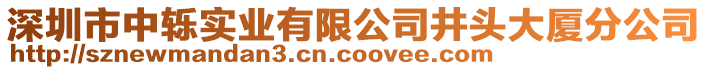 深圳市中轢實(shí)業(yè)有限公司井頭大廈分公司