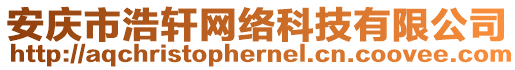 安慶市浩軒網(wǎng)絡(luò)科技有限公司