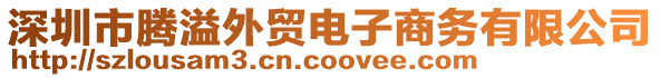 深圳市騰溢外貿(mào)電子商務(wù)有限公司