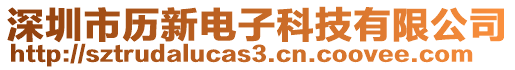 深圳市歷新電子科技有限公司