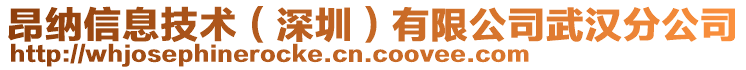 昂納信息技術（深圳）有限公司武漢分公司