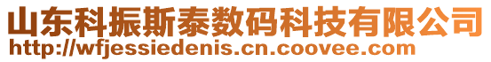 山東科振斯泰數(shù)碼科技有限公司