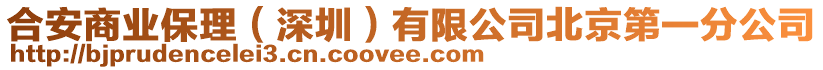 合安商業(yè)保理（深圳）有限公司北京第一分公司