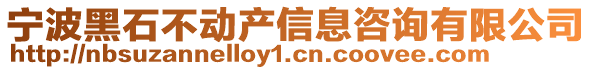 寧波黑石不動(dòng)產(chǎn)信息咨詢有限公司