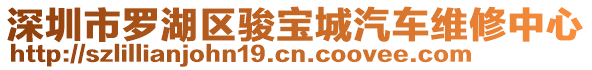 深圳市羅湖區(qū)駿寶城汽車(chē)維修中心