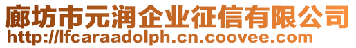 廊坊市元潤企業(yè)征信有限公司