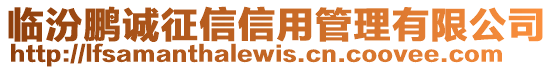 臨汾鵬誠(chéng)征信信用管理有限公司