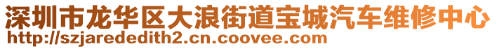 深圳市龍華區(qū)大浪街道寶城汽車維修中心