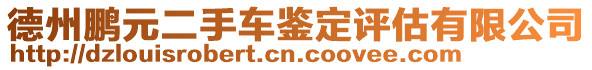 德州鵬元二手車鑒定評估有限公司