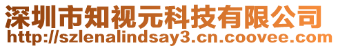 深圳市知視元科技有限公司