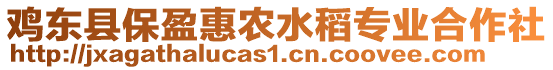 雞東縣保盈惠農(nóng)水稻專業(yè)合作社