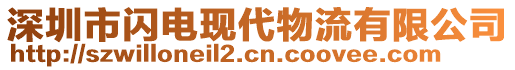 深圳市閃電現(xiàn)代物流有限公司